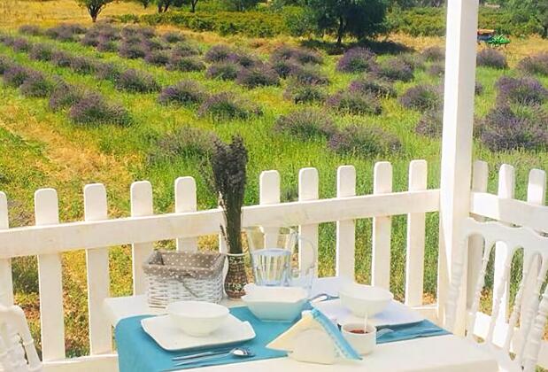Aliya Garden - Köy Evi ve Lezzetleri - Görsel 12