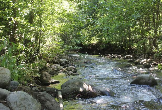 Veliköy Han Konakları - Görsel 6