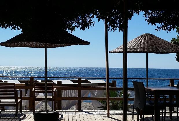 Marvel Tree Hotel - Görsel 7