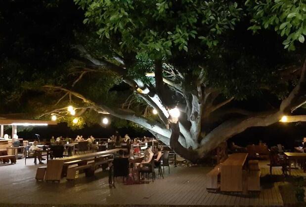 Marvel Tree Hotel - Görsel 8