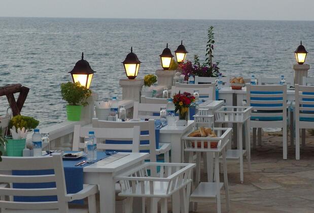 Marvel Tree Hotel - Görsel 11