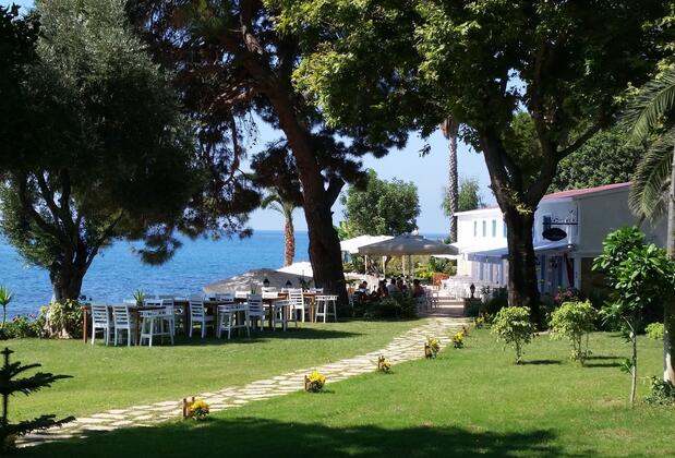 Marvel Tree Hotel - Görsel 5