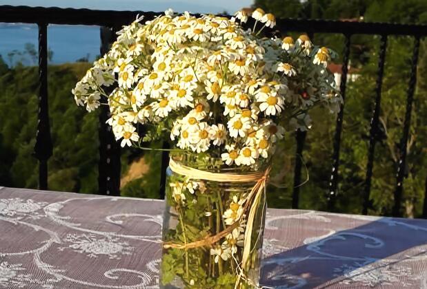 Uğurlubey Butik Dağ Oteli - Görsel 3