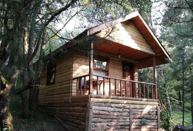 Çam Pınarı Doğa Evleri - Görsel 4