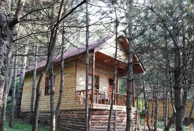 Çam Pınarı Doğa Evleri - Görsel 5