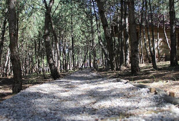 Çam Pınarı Doğa Evleri - Görsel 8