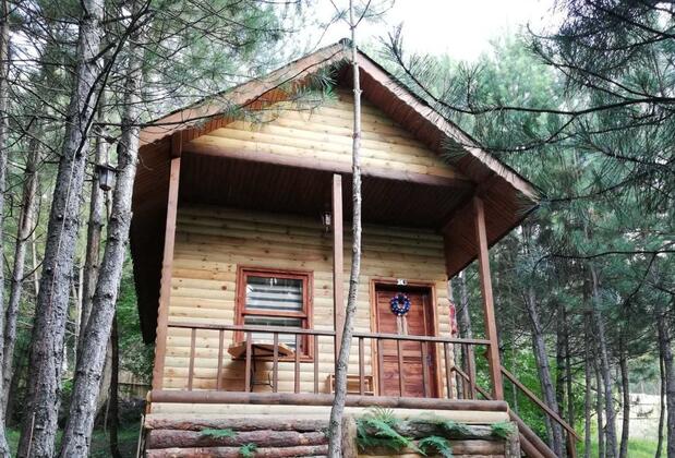 Çam Pınarı Doğa Evleri - Görsel 3