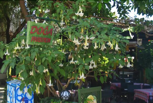 Side Doğa Pansiyon - Görsel 3