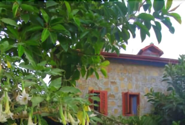 Side Doğa Pansiyon - Görsel 12