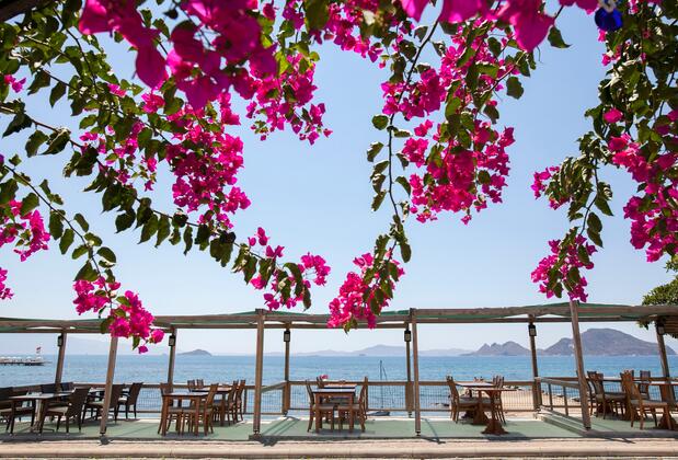 One More Day Hotel - Görsel 4