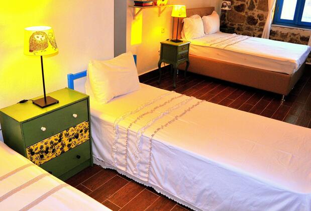 Alterna Köy Evi - Görsel 19