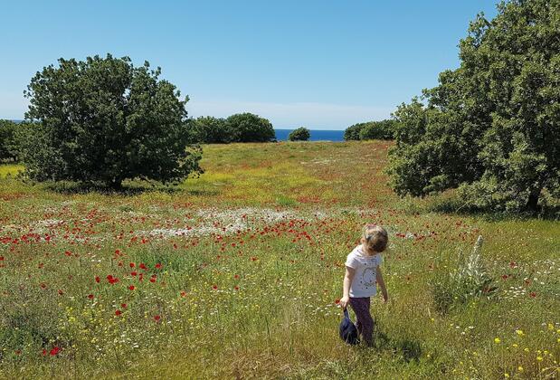 Alterna Köy Evi - Görsel 34