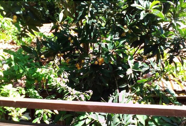 Hellen Hotel Side - Görsel 33