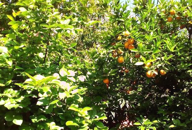 Hellen Hotel Side - Görsel 34