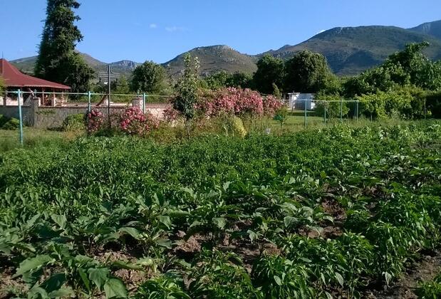 Villa Mercan - Görsel 16