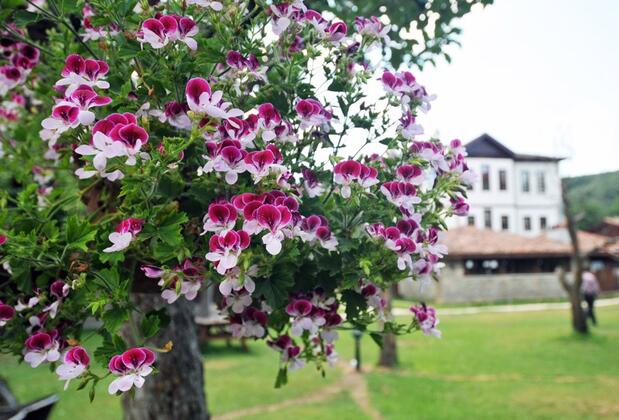 Şadıbey Çiftliği - Görsel 29