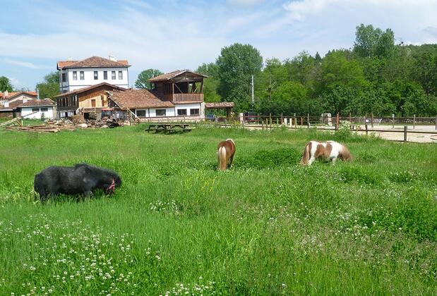 Şadıbey Çiftliği - Görsel 33