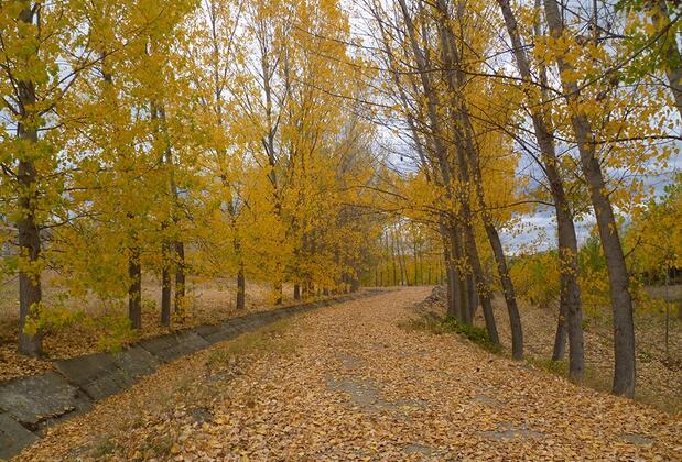 Şadıbey Çiftliği - Görsel 34