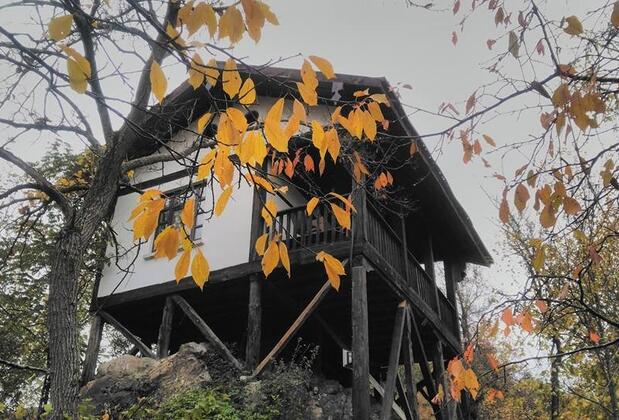 Şadıbey Çiftliği - Görsel 38