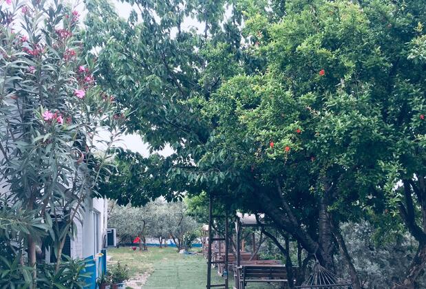 Ilıca Anatolia - Görsel 5