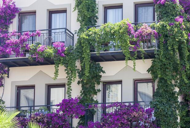 Golden Age Crystal Bodrum - Görsel 10