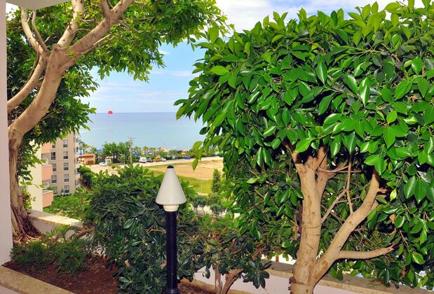 Blue Night Hotel - Görsel 5