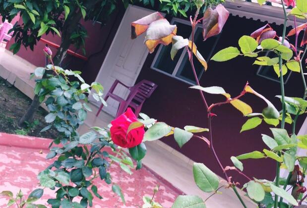 Çiviler Hotel - Görsel 16