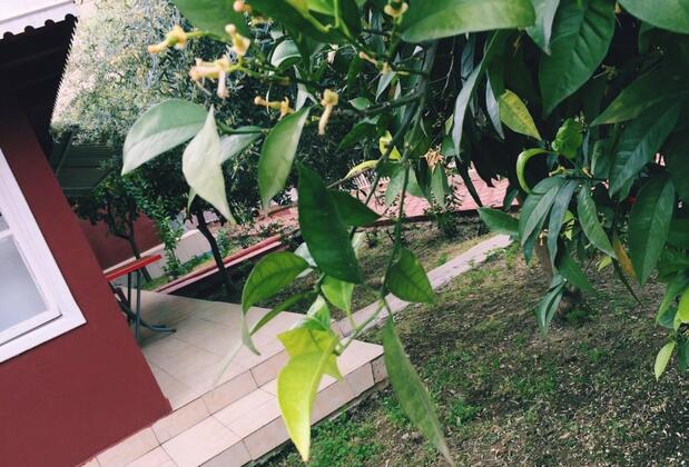 Çiviler Hotel - Görsel 14