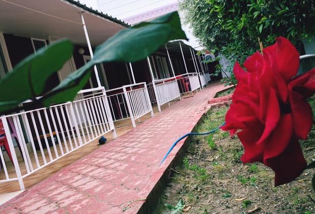 Çiviler Hotel - Görsel 23