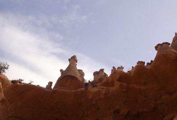 Kapor Organik Çiftlik Evi - Görsel 12