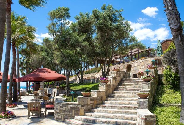 Arum Barut Collection - Görsel 6