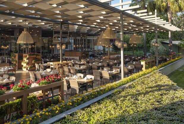 Arum Barut Collection - Görsel 8