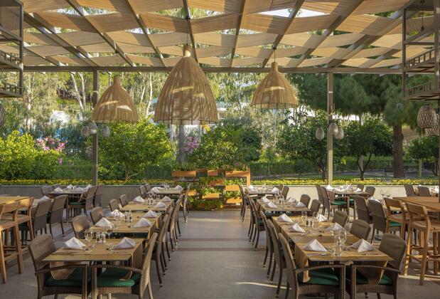 Arum Barut Collection - Görsel 10