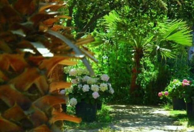 Alfa Apart - Görsel 11