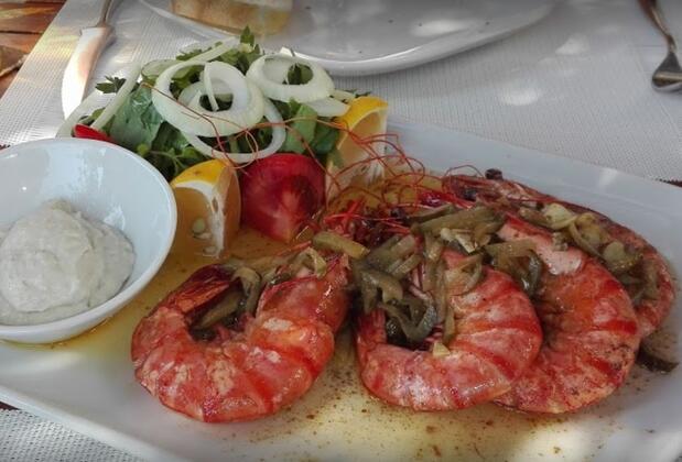 Odile Konak - Görsel 6