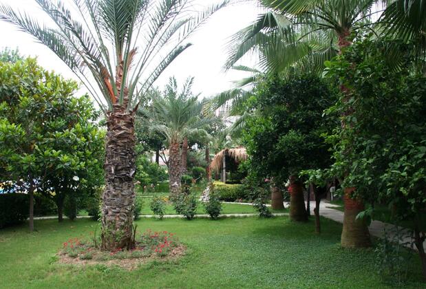 Elysee Garden Apart - Görsel 7