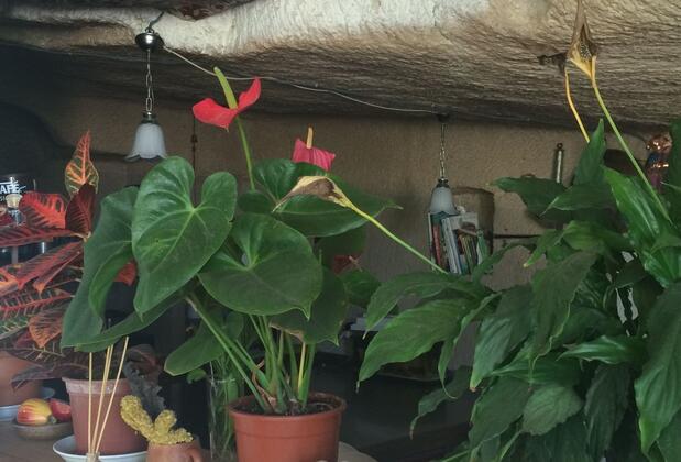 Fairy Chimney Inn - Görsel 36