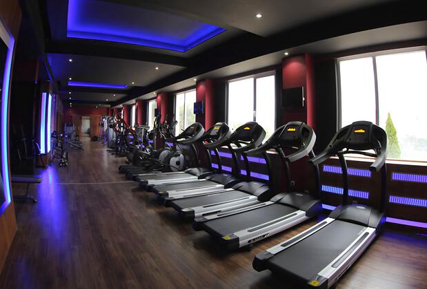 The Apple Palace - Görsel 14