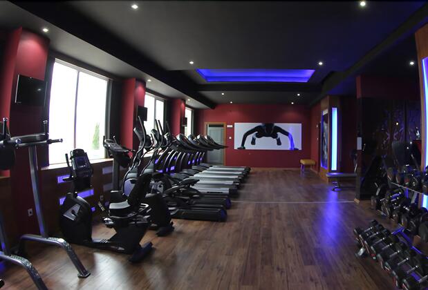 The Apple Palace - Görsel 15