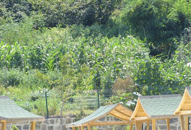 Royal Life Residence - Görsel 28