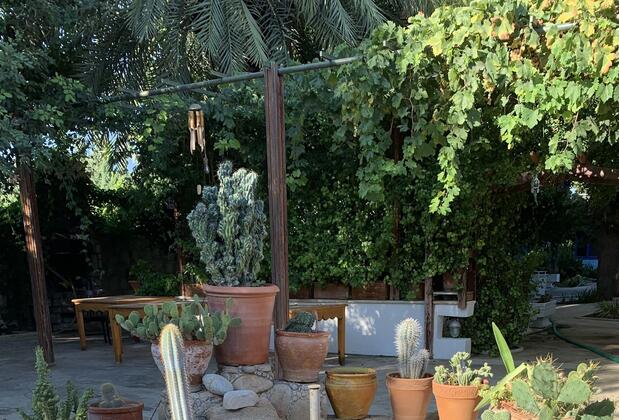 Dört Mevsim Evi Butik Otel - Görsel 8