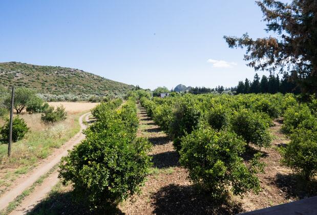 Dört Mevsim Evi Butik Otel - Görsel 39