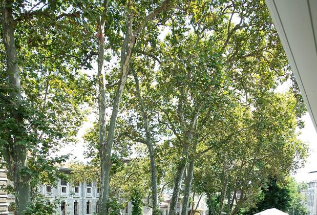 Boss Hotel Sultanahmet - Görsel 8