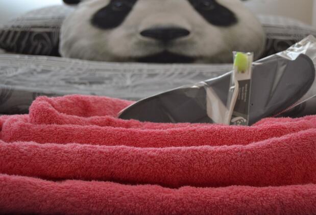 Panda Pansiyon - Görsel 9