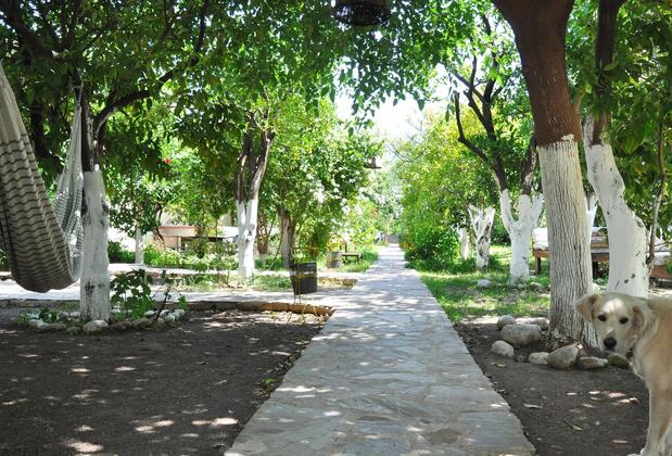 San Simon Hotel - Görsel 33