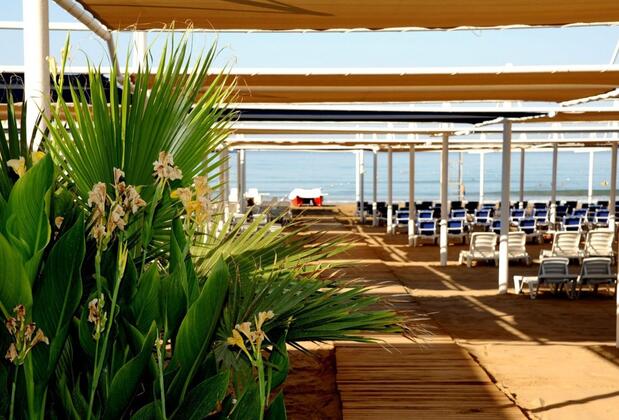 Dream World Hill - Görsel 13