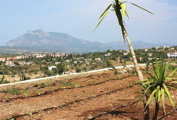 Ağa Apart Eski Datça - Görsel 6