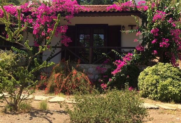 Selimiye Houses - Görsel 18