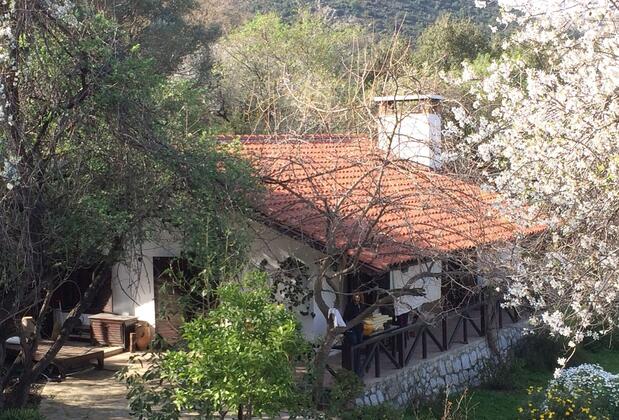 Selimiye Houses - Görsel 3