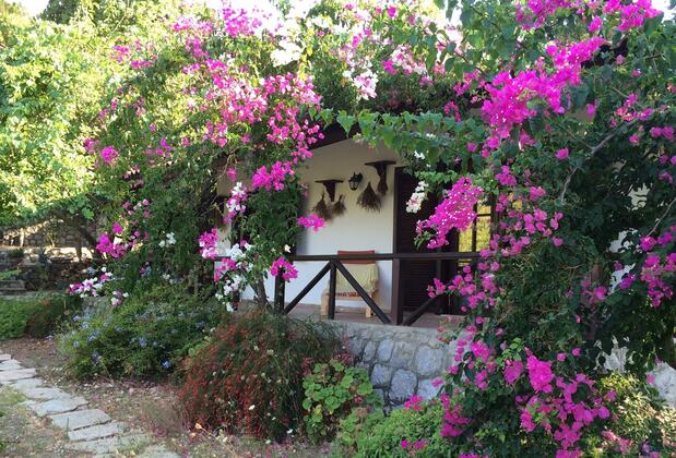 Selimiye Houses - Görsel 17